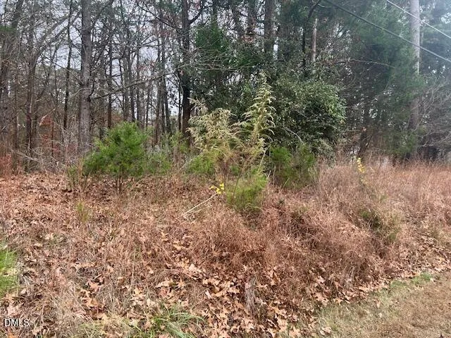 a view of a yard with a tree