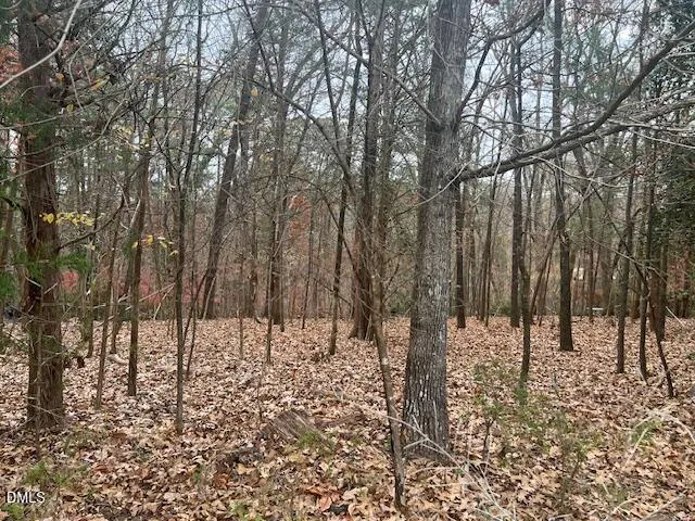 a view of a backyard of the house