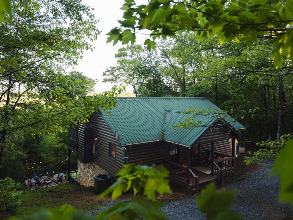 335 North Old Aska Road Blue Ridge, GA 30513 - Photo 55 of 60 Gallery Image 55