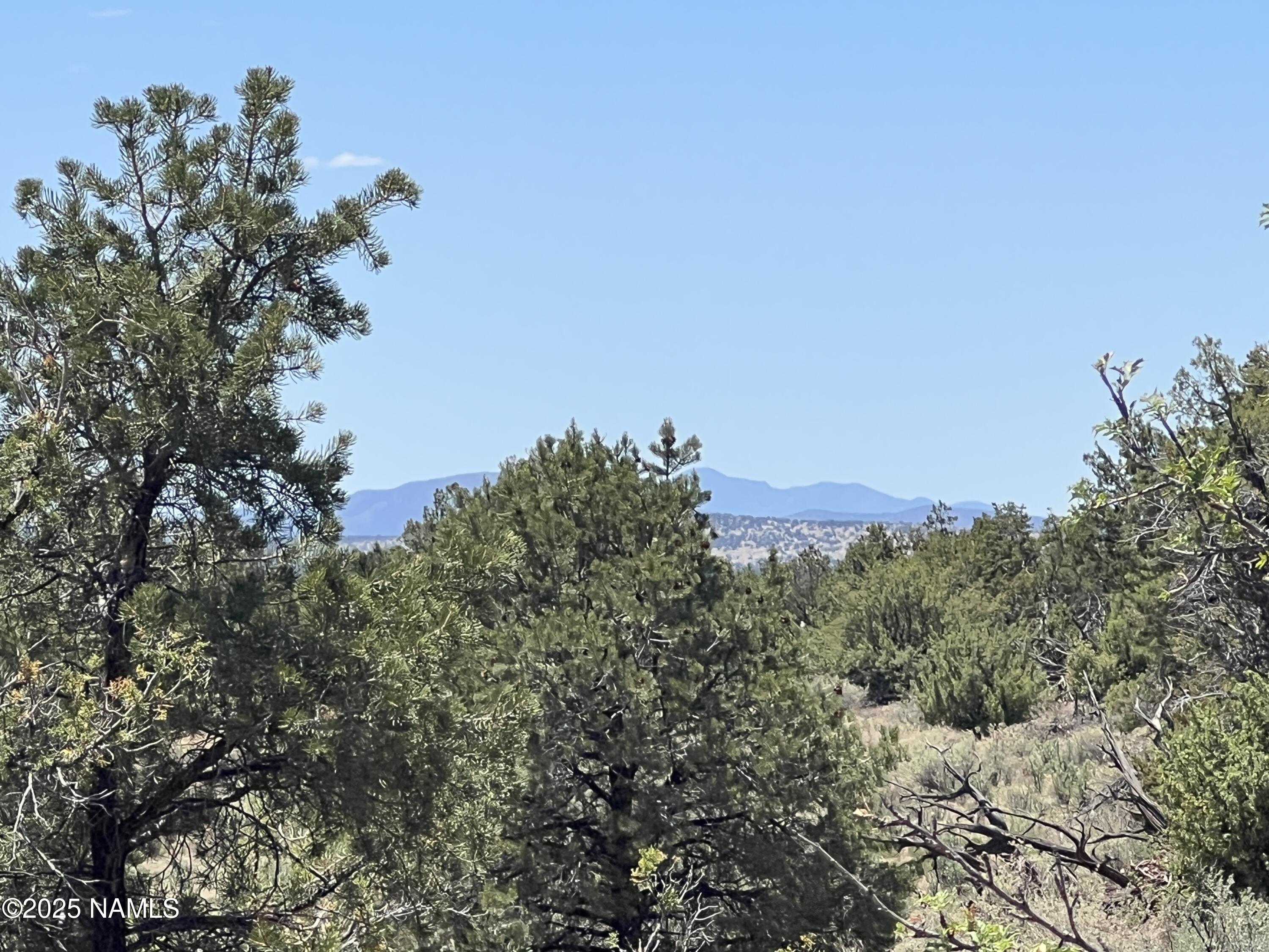 8755 South Rim Ranch Road Williams, AZ 86046 - Photo 8 of 9 a view of a large building with a mountain in the background