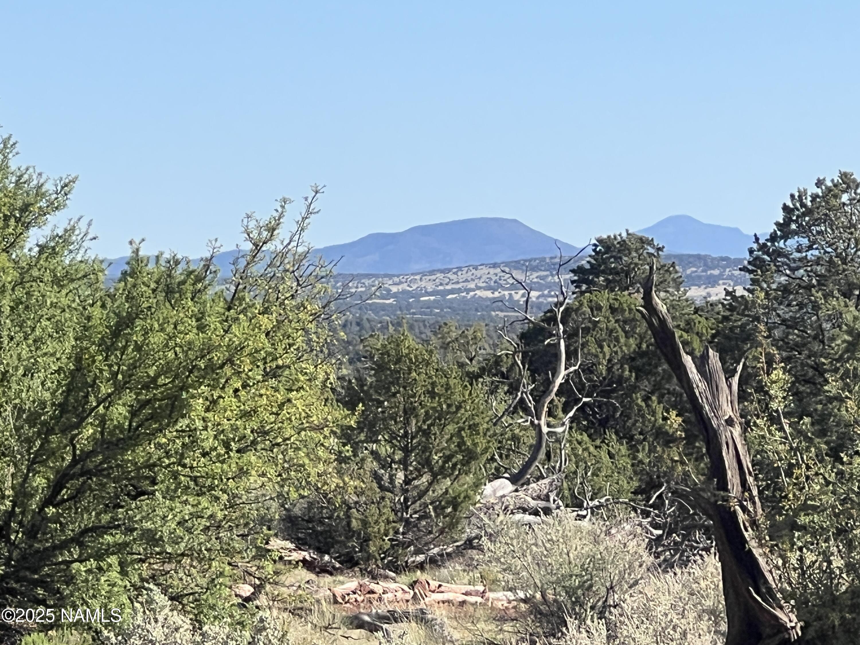 8755 South Rim Ranch Road Williams, AZ 86046 - Photo 9 of 9 a view of a yard with a tree