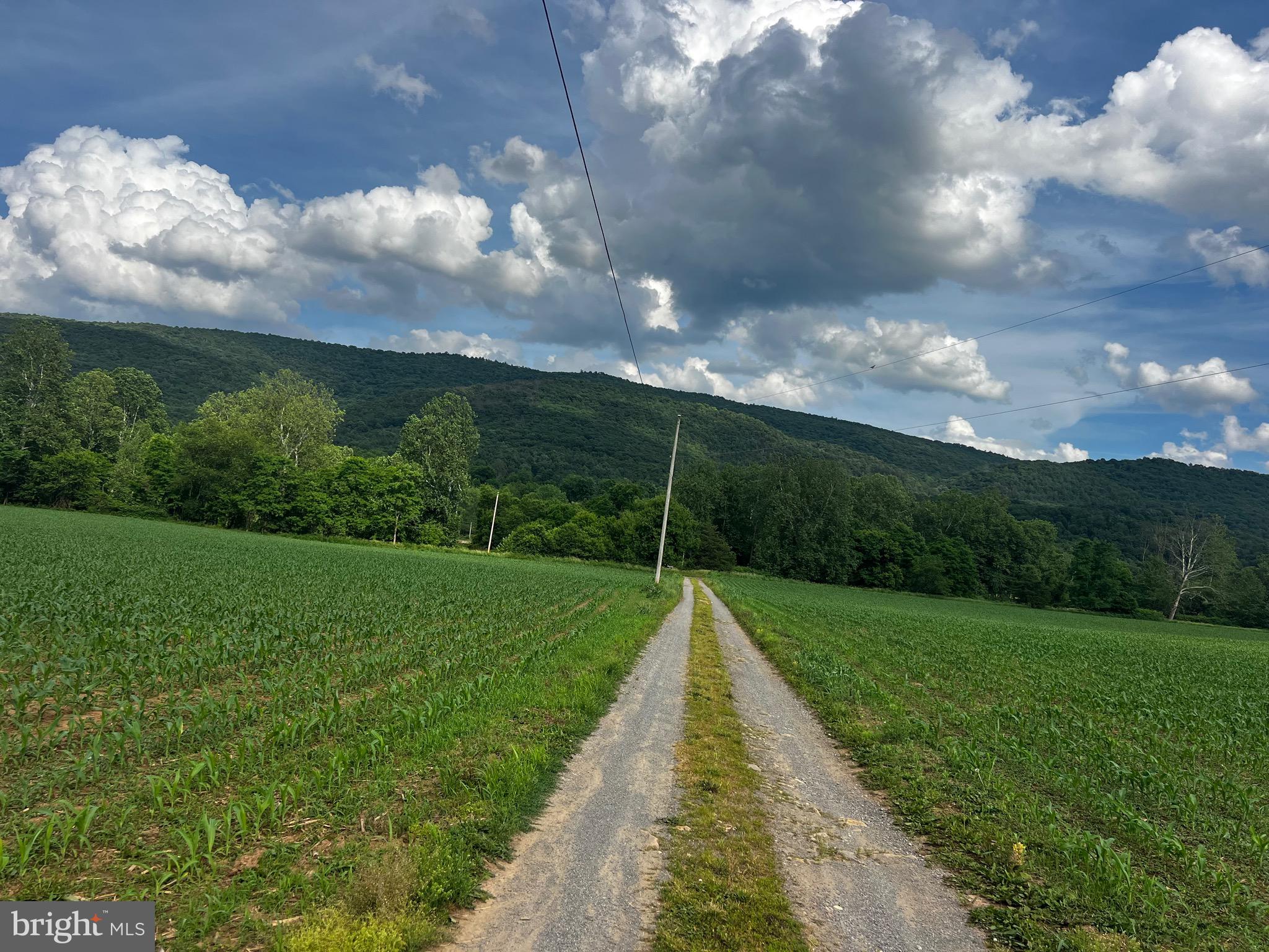 12125 State Road 259 Mathias, WV 26812 - Photo 13 of 40 National Forest in distance