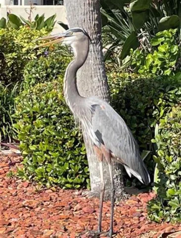 a view of a city from a hallway