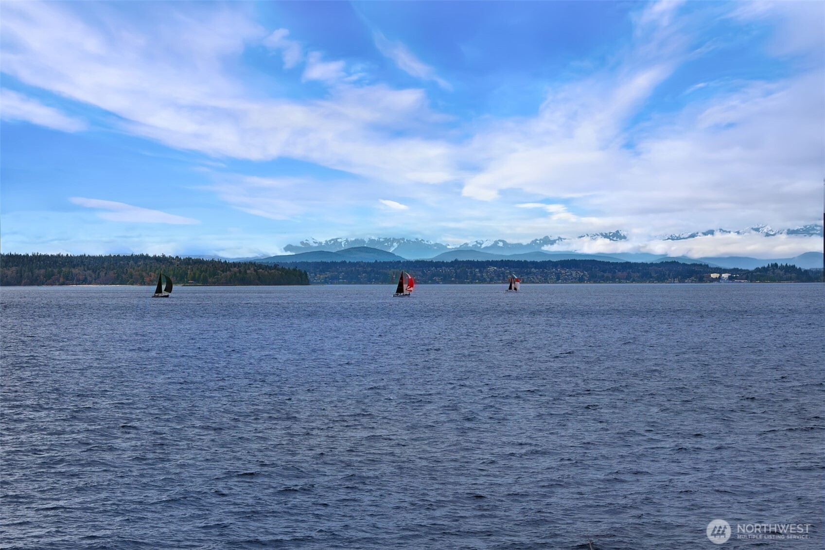6317 Beach Drive Southwest Seattle, WA 98136 - Photo 30 of 37