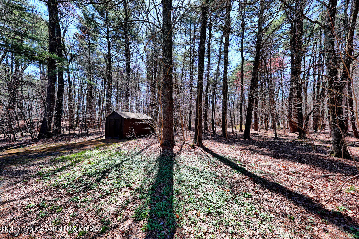 61 Joel M Austin Road Catskill, NY 12413 - Photo 61 of 83 9zz