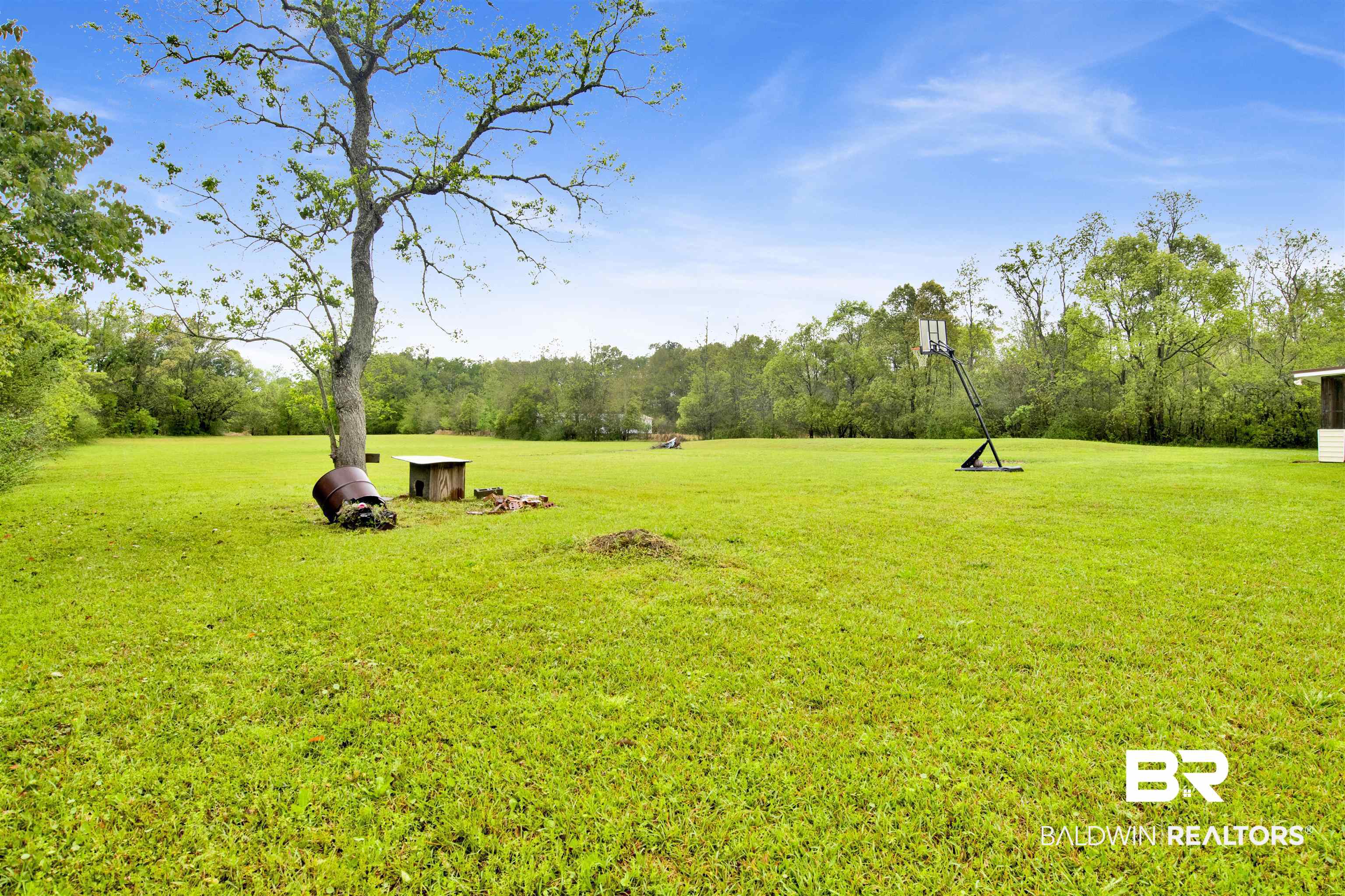 10244 Magnolia Road Irvington, AL 36544 - Photo 24 of 37 View of yard