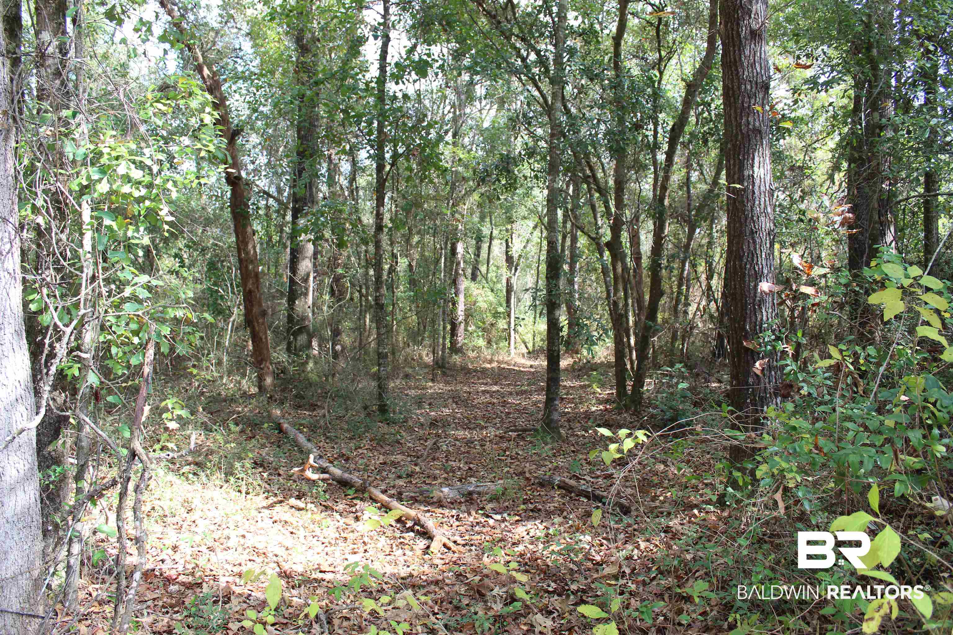 23050 McPhillips Road Loxley, AL 36551 - Photo 40 of 40
