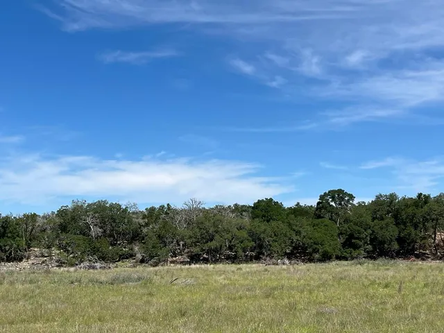 $495,000 | Tbd Narrows Road, Unit 41, Blanco, TX 78606