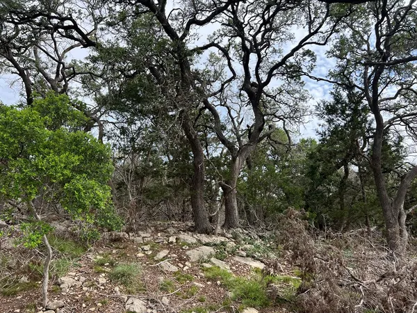 $495,000 | Tbd Narrows Road, Unit 41, Blanco, TX 78606