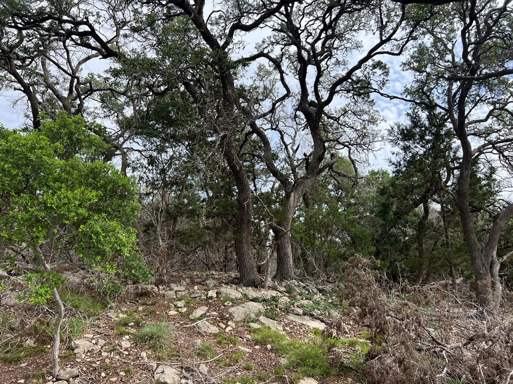 Tbd Narrows Road, Unit 41 Blanco, TX 78606 - Photo 3 of 10