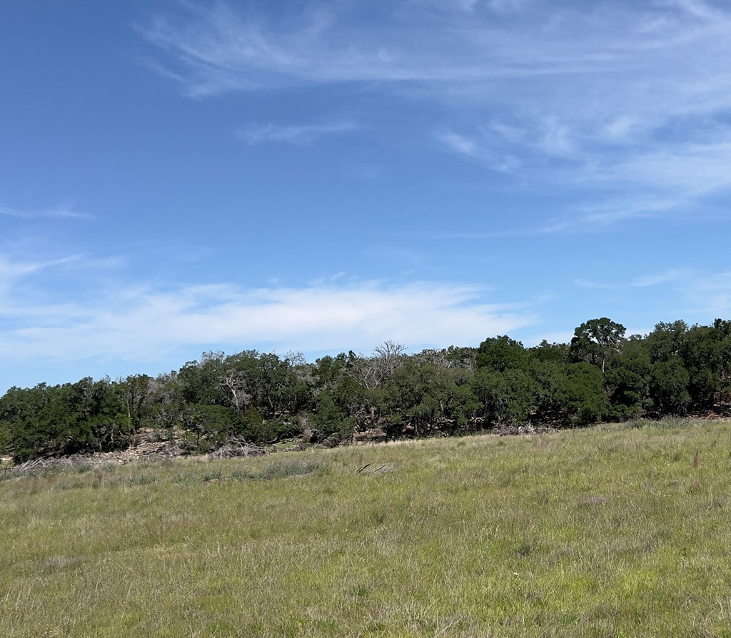 Tbd Narrows Road, Unit 41 Blanco, TX 78606 - Photo 5 of 10