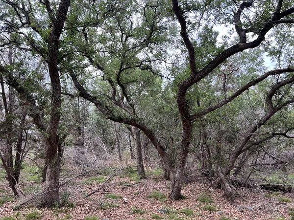 $495,000 | Tbd Narrows Road, Unit 41, Blanco, TX 78606