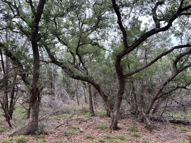 $495,000 | Tbd Narrows Road, Unit 41, Blanco, TX 78606