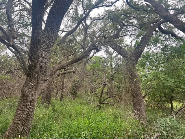 $495,000 | Tbd Narrows Road, Unit 41, Blanco, TX 78606