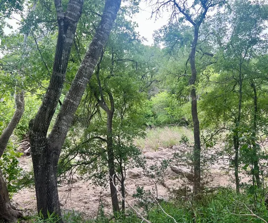$495,000 | Tbd Narrows Road, Unit 41, Blanco, TX 78606