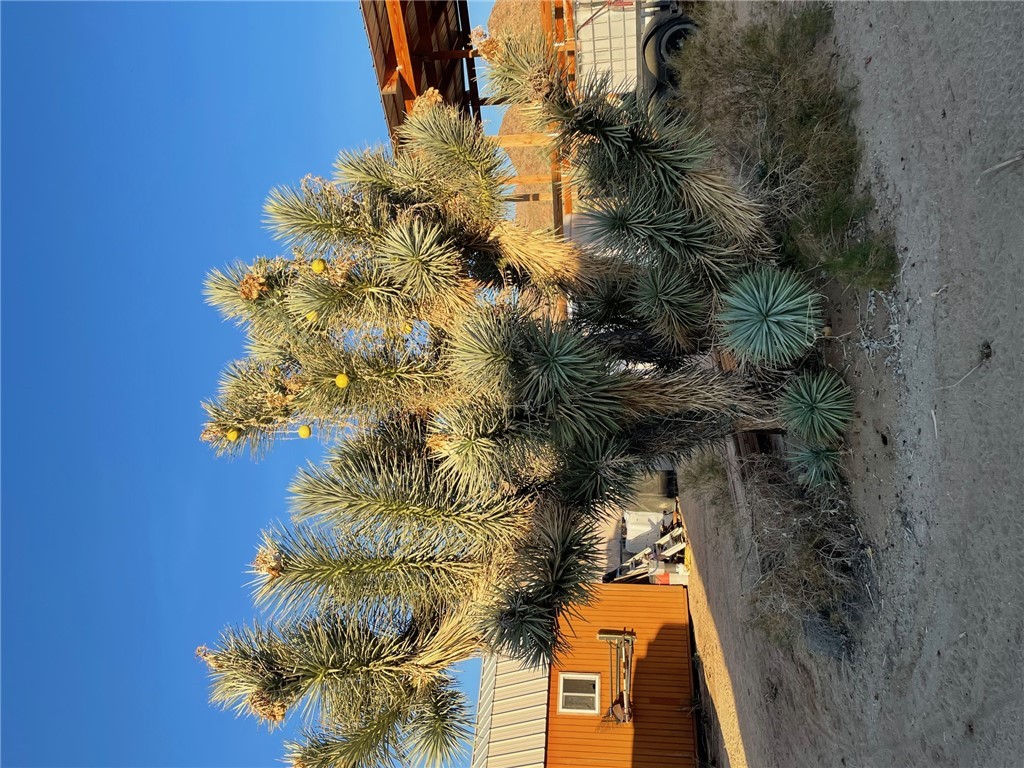 11328 Kinard Road Yucca, AZ 86438 - Photo 25 of 40