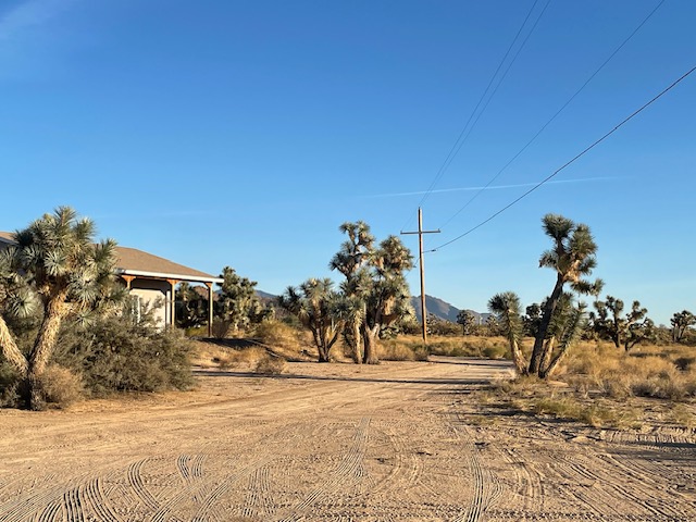 11328 Kinard Road Yucca, AZ 86438 - Photo 3 of 40 a view of a yard with trees