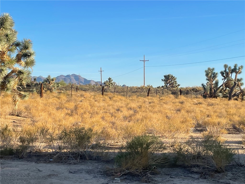 11328 Kinard Road Yucca, AZ 86438 - Photo 32 of 40 a view of a yard with mountain view