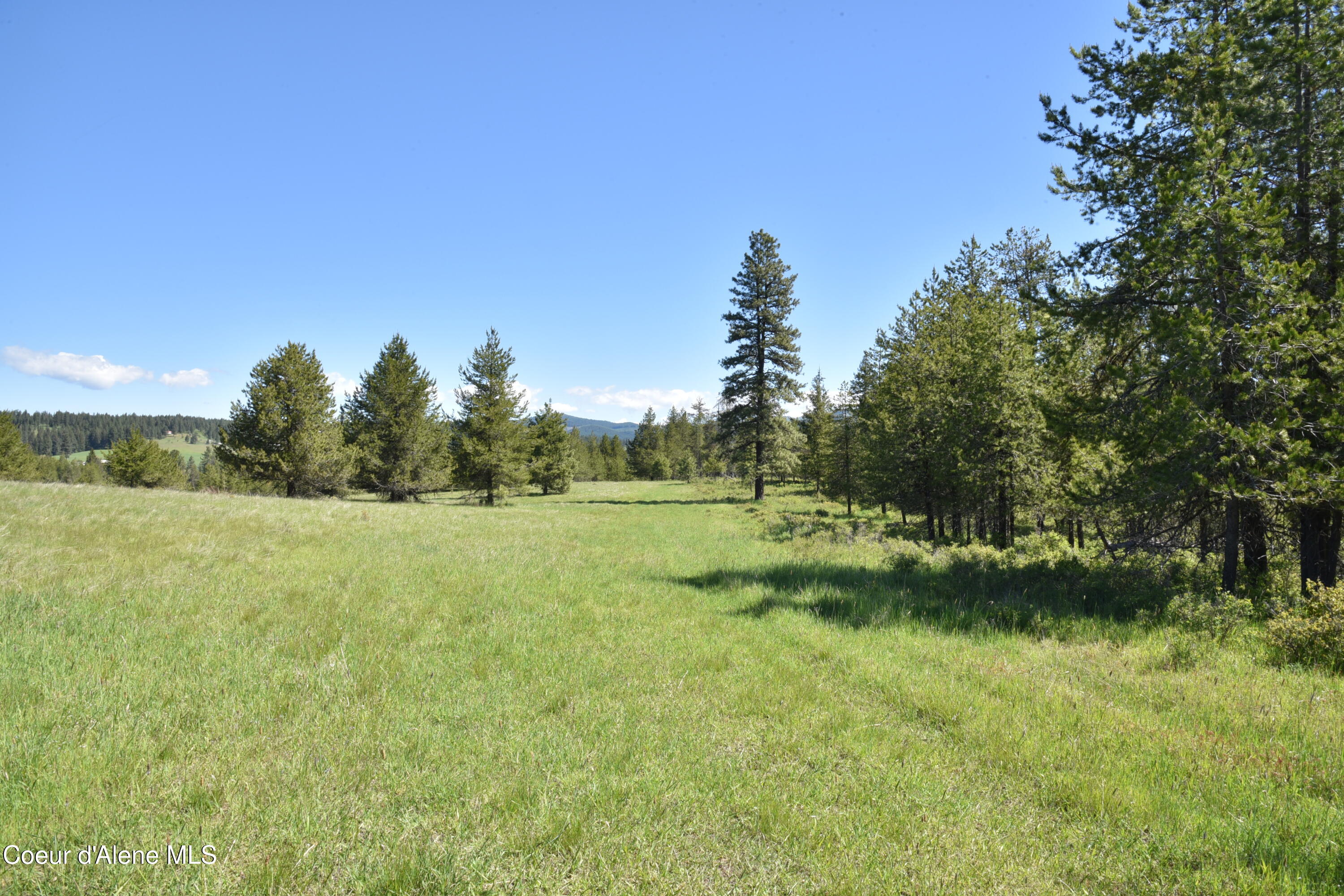 Nka Nka Tyson Creek Road St. Maries, ID 83861 - Photo 18 of 26 20