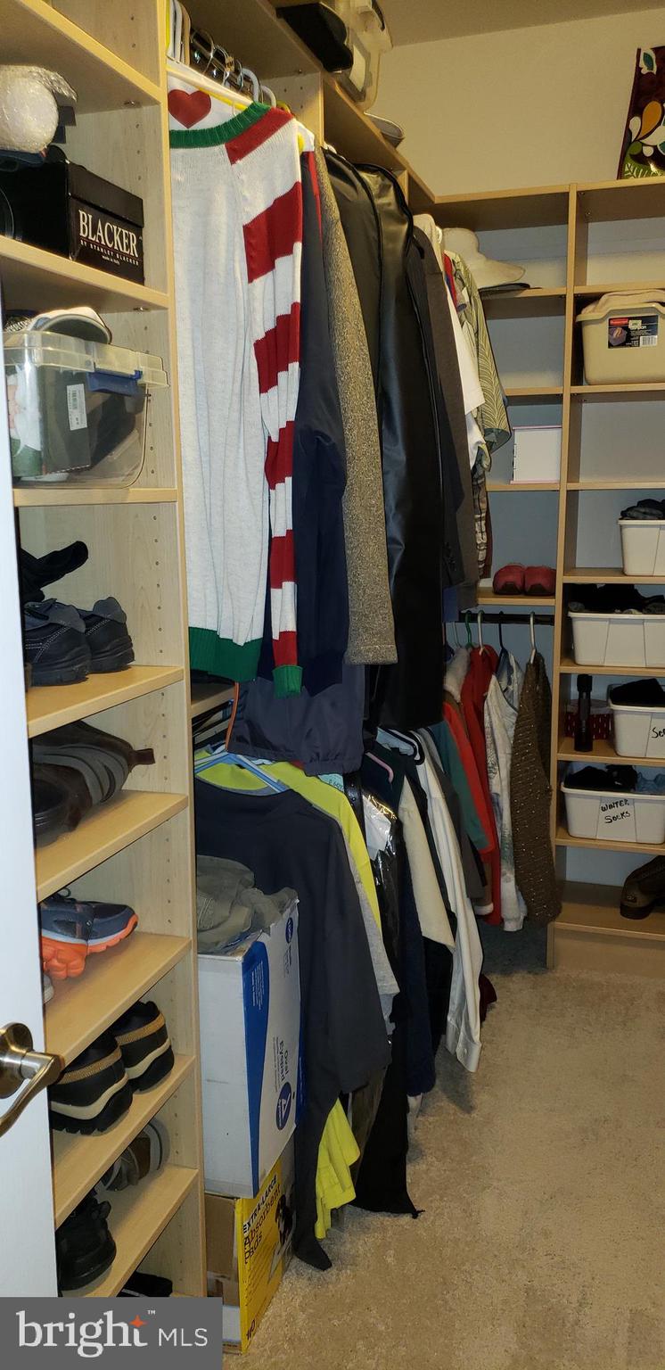42573 Sunset Ridge Square, Unit 439 Ashburn, VA 20148 - Photo 17 of 41 Master Bedroom Walk In Closet- View 1