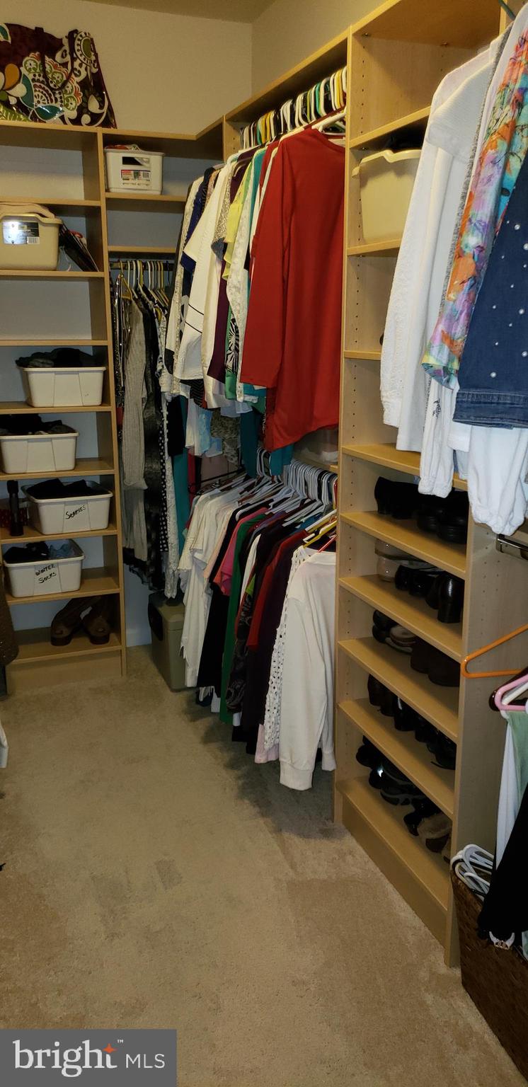 42573 Sunset Ridge Square, Unit 439 Ashburn, VA 20148 - Photo 18 of 41 Closet View 2 Professionally designed