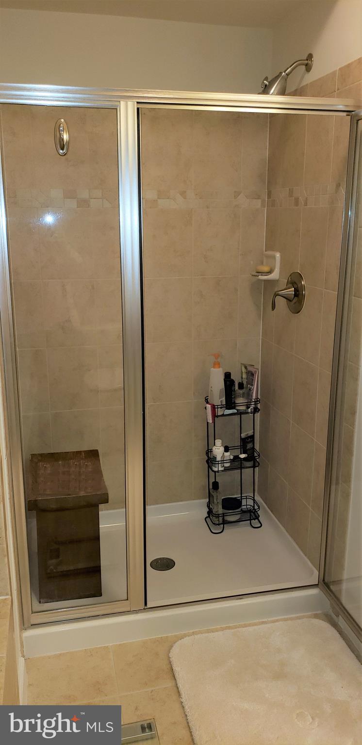 42573 Sunset Ridge Square, Unit 439 Ashburn, VA 20148 - Photo 20 of 41 Master walk in Shower