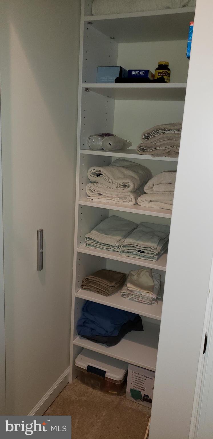 42573 Sunset Ridge Square, Unit 439 Ashburn, VA 20148 - Photo 22 of 41 Large Linen Closet