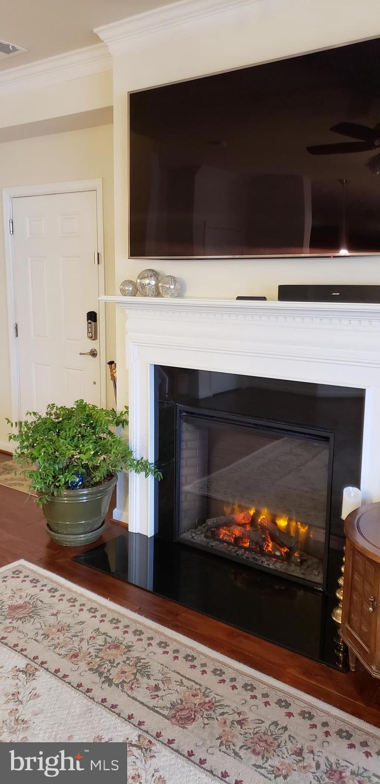 42573 Sunset Ridge Square, Unit 439 Ashburn, VA 20148 - Photo 7 of 41 Electric Fireplace- Mounted 65" TV CONVEYS!