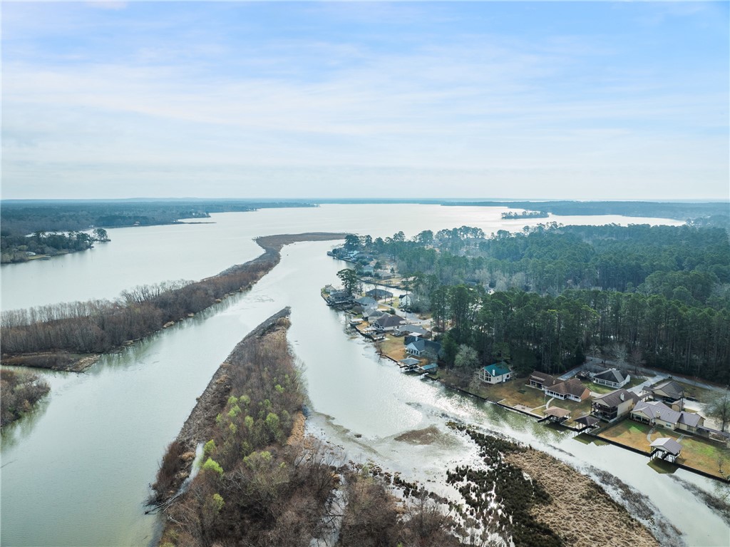 70 Lakeside Drive Trinity, TX 75862 - Photo 29 of 34 a view of a lake in middle of a city