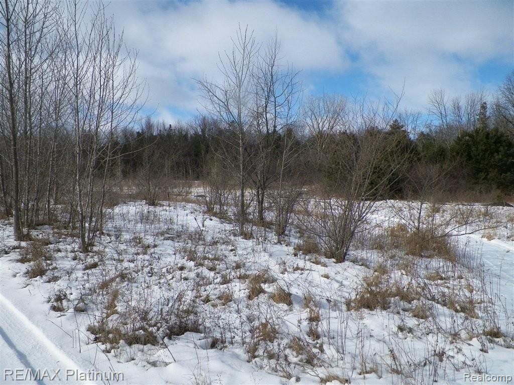 V/l West Willard Road Birch Run, MI 48415 - Photo 10 of 19 100_1483.JPG