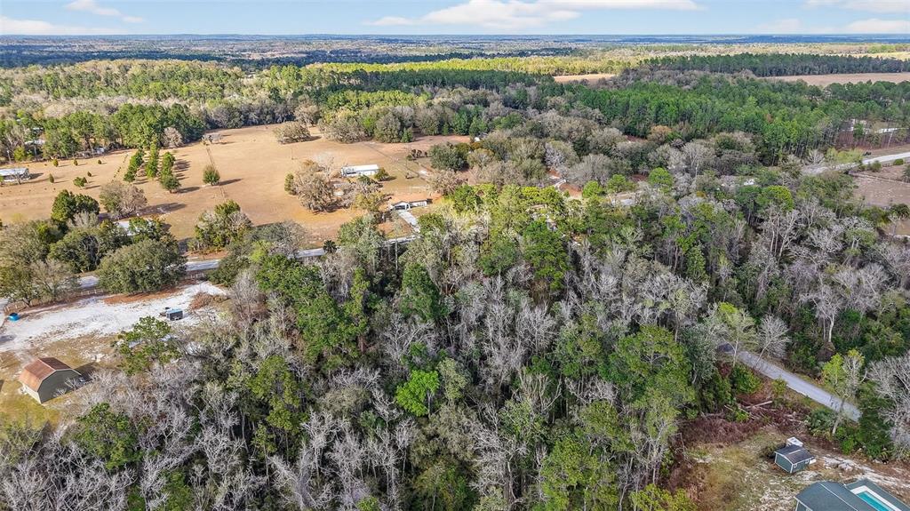 Powell Road Brooksville, FL 34602 - Photo 21 of 28 a view of a yard with an outdoor space