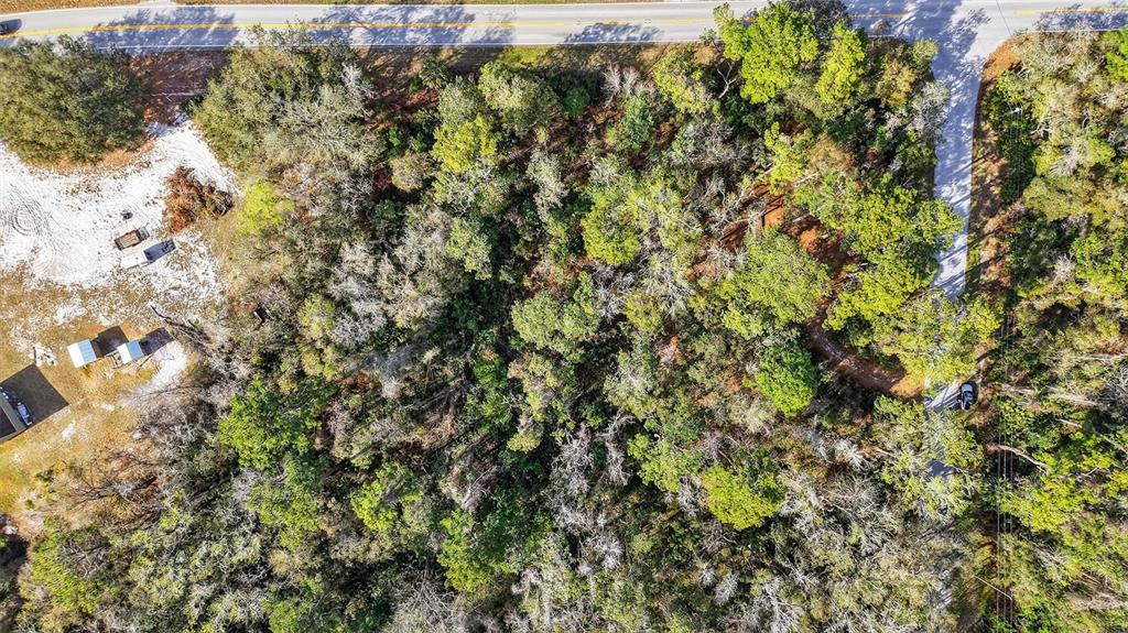 Powell Road Brooksville, FL 34602 - Photo 24 of 28 a view of a tree