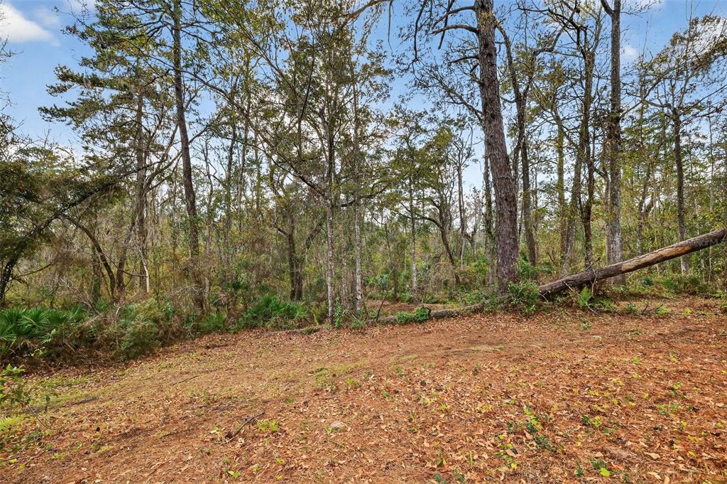 Powell Road Brooksville, FL 34602 - Photo 6 of 28