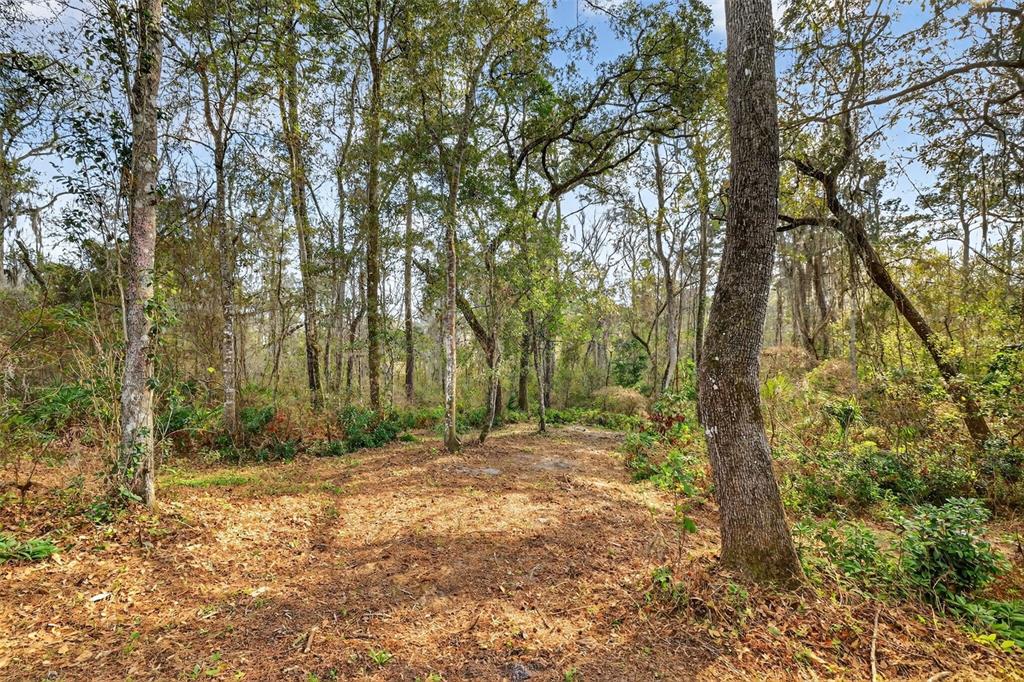 Powell Road Brooksville, FL 34602 - Photo 8 of 28 a view of outdoor space with trees