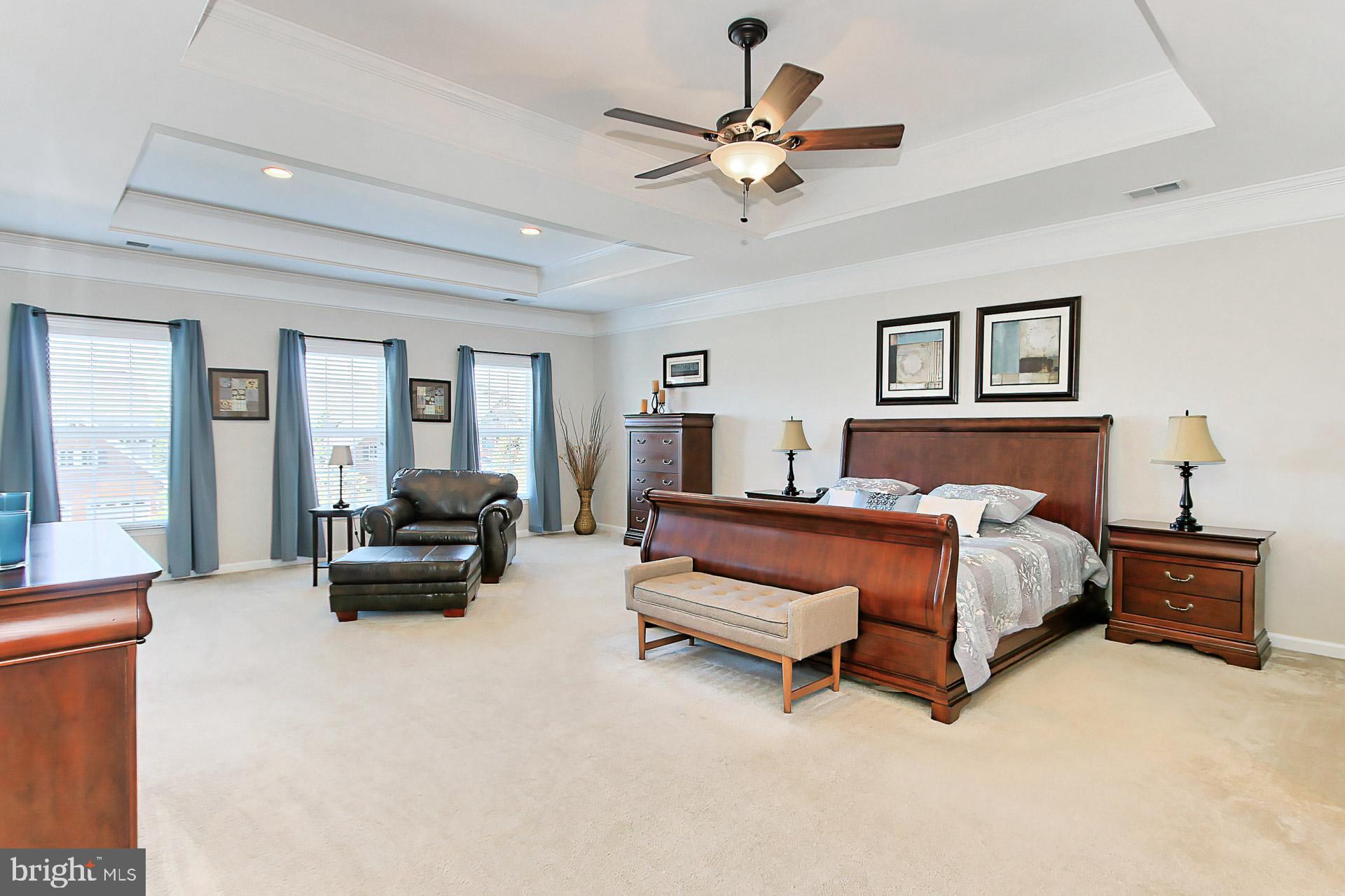 9335 Castle Hill Road Springfield, VA 22153 - Photo 28 of 53 Primary bedroom with tray ceiling