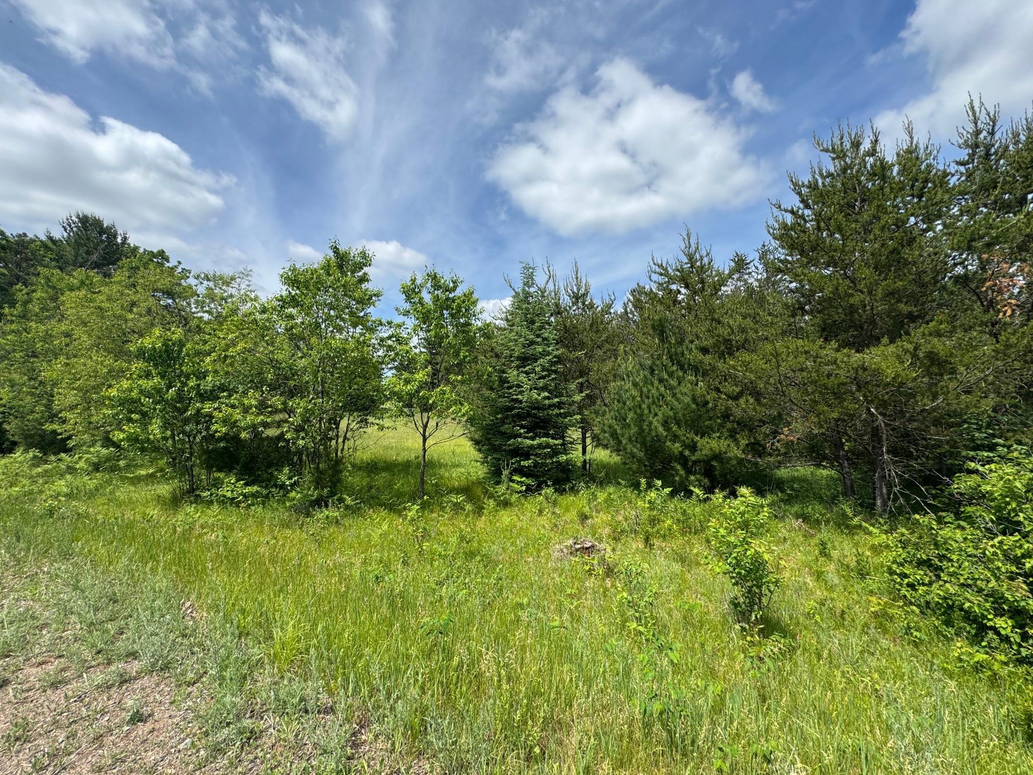6398 Fred Tripp Road Springbrook, WI 54875 - Photo 10 of 30
