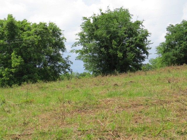 0 Hardy Road Pulaski, TN 38478 - Photo 10 of 12 Gallery Image 10