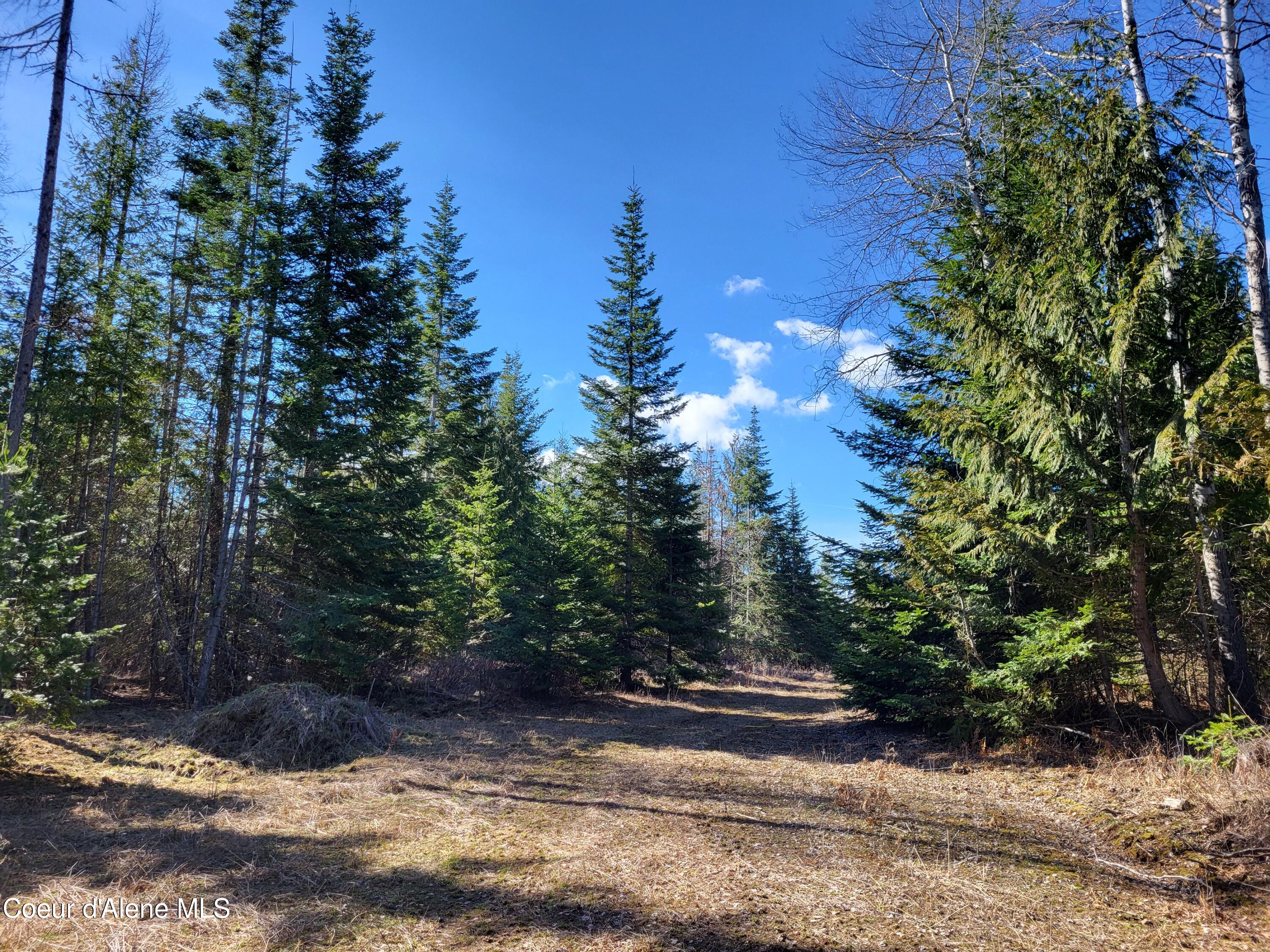 7380 East Bell Canyon Road Harrison, ID 83833 - Photo 12 of 26 20240320_112118