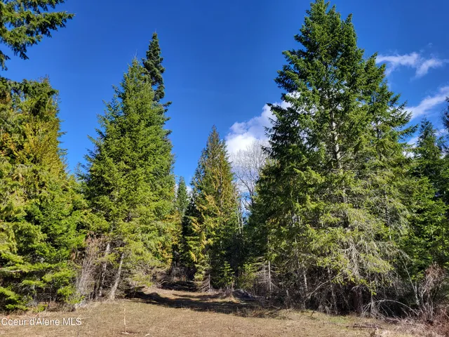 $497,000 | 7380 East Bell Canyon Road, Harrison, ID 83833