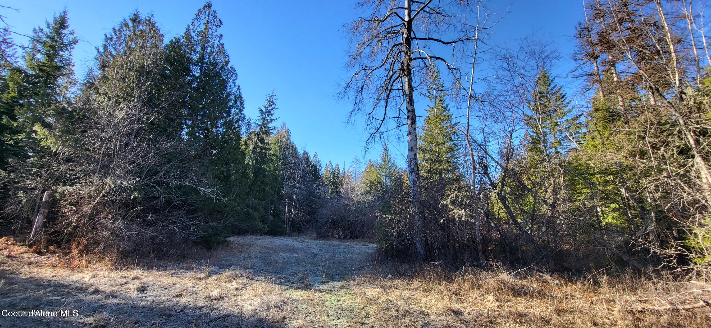 7380 East Bell Canyon Road Harrison, ID 83833 - Photo 14 of 26 20260123_115708