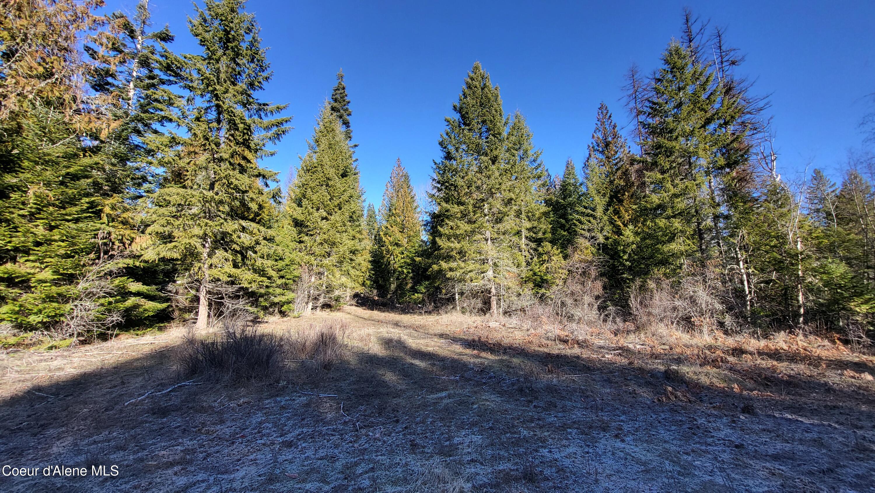 7380 East Bell Canyon Road Harrison, ID 83833 - Photo 15 of 26 20260123_115807