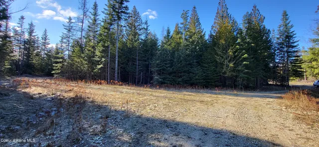 $497,000 | 7380 East Bell Canyon Road, Harrison, ID 83833