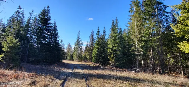 $497,000 | 7380 East Bell Canyon Road, Harrison, ID 83833