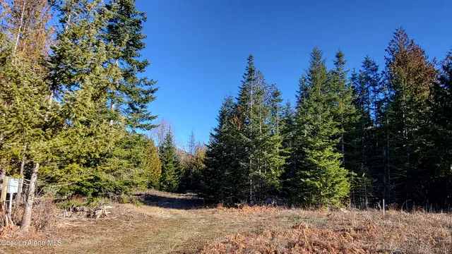 $497,000 | 7380 East Bell Canyon Road, Harrison, ID 83833