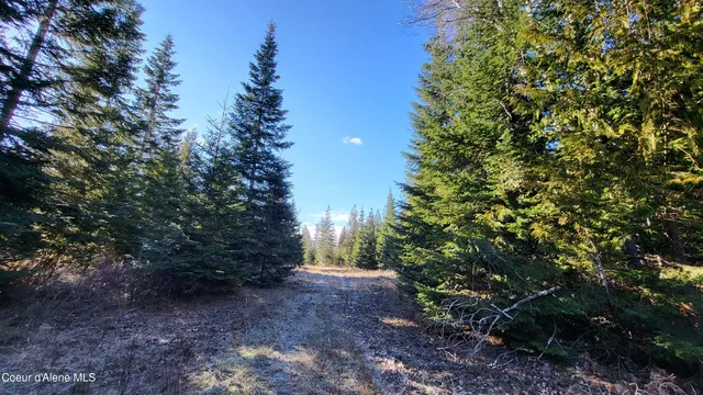 $497,000 | 7380 East Bell Canyon Road, Harrison, ID 83833