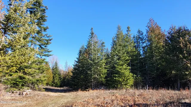 $497,000 | 7380 East Bell Canyon Road, Harrison, ID 83833