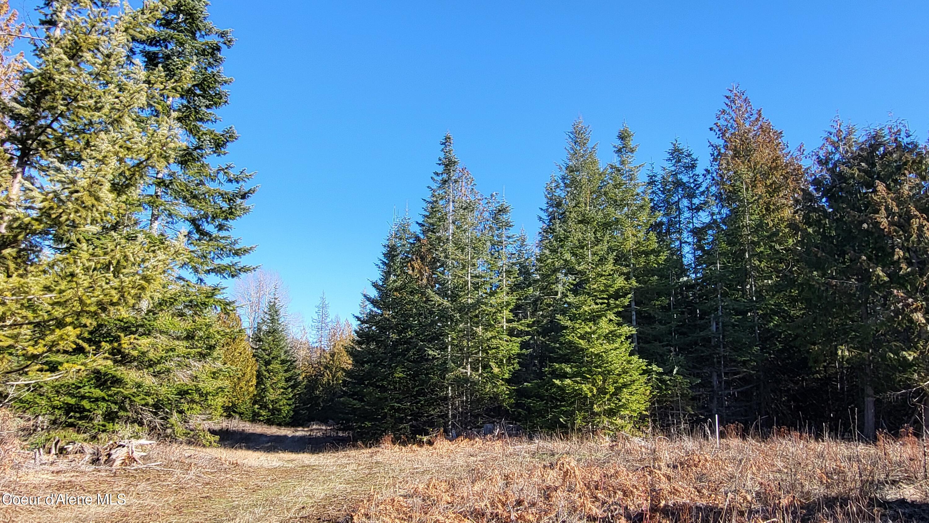 7380 East Bell Canyon Road Harrison, ID 83833 - Photo 4 of 26 20260123_115107