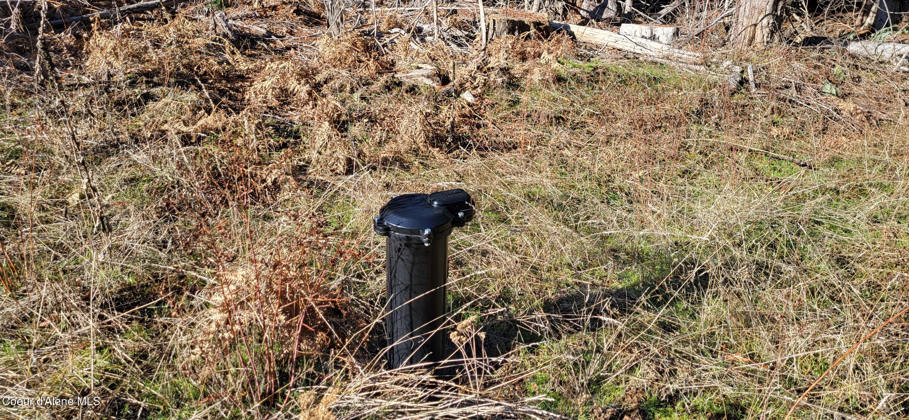 7380 East Bell Canyon Road Harrison, ID 83833 - Photo 5 of 26 20260123_114252