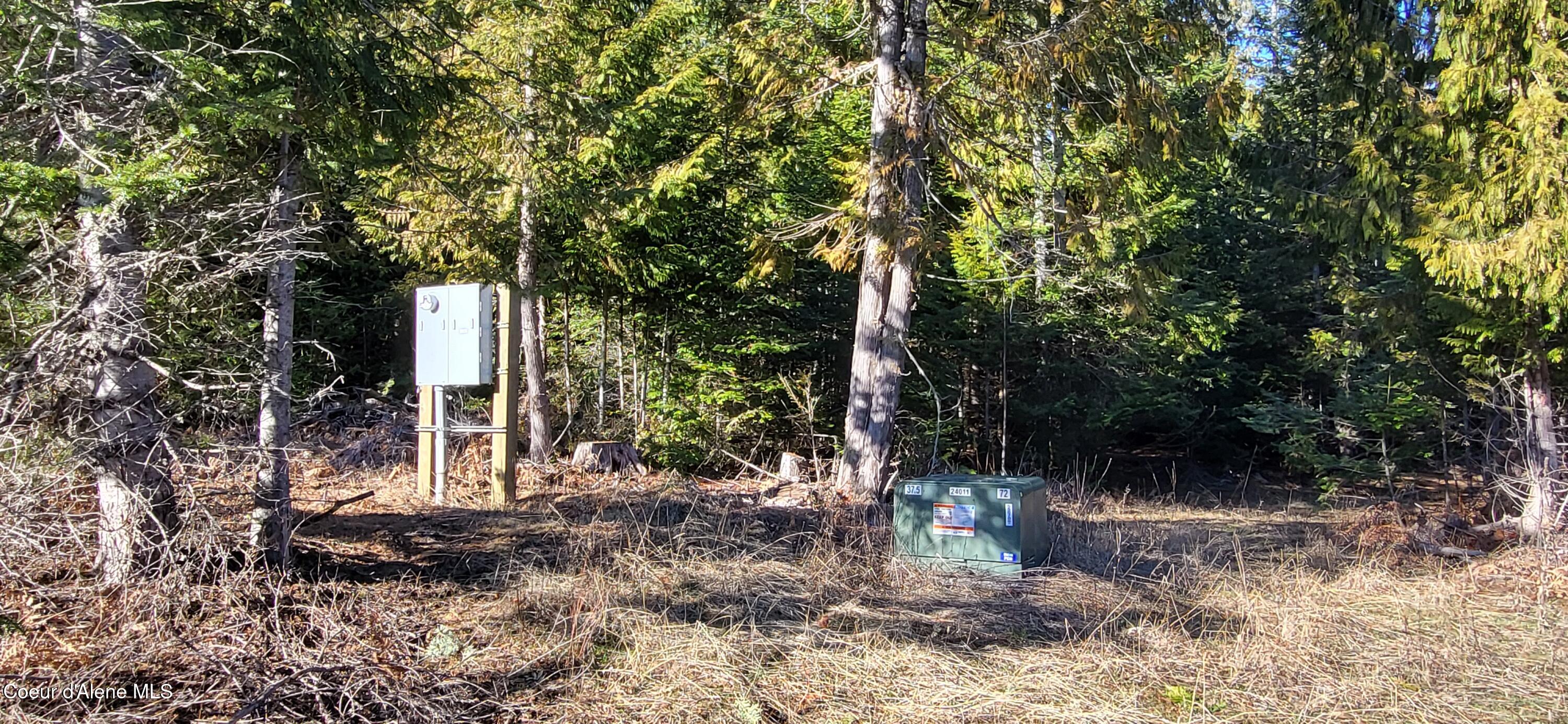 7380 East Bell Canyon Road Harrison, ID 83833 - Photo 6 of 26 20260123_114327