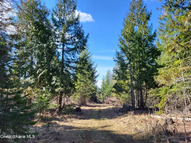 $497,000 | 7380 East Bell Canyon Road, Harrison, ID 83833